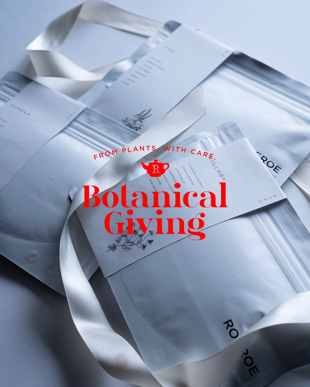 BOTANICAL GIVING  植物からの贈り物