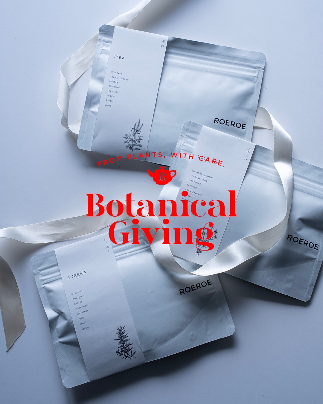 BOTANICAL GIVING  植物からの贈り物